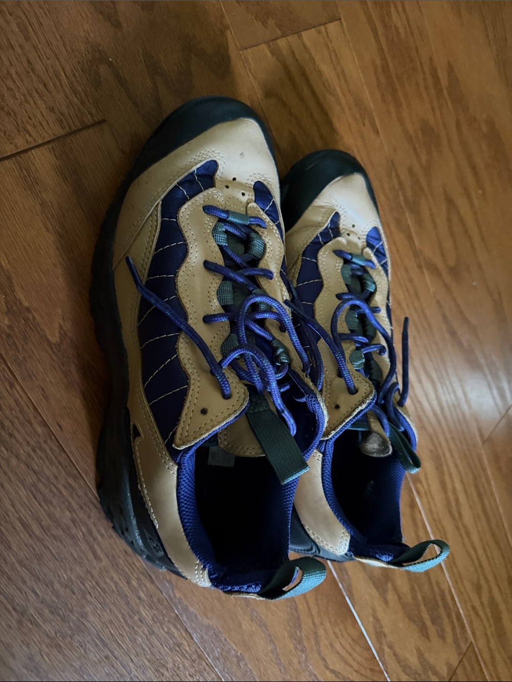 Nike ACG Beige and Blue Trail Sneakers
